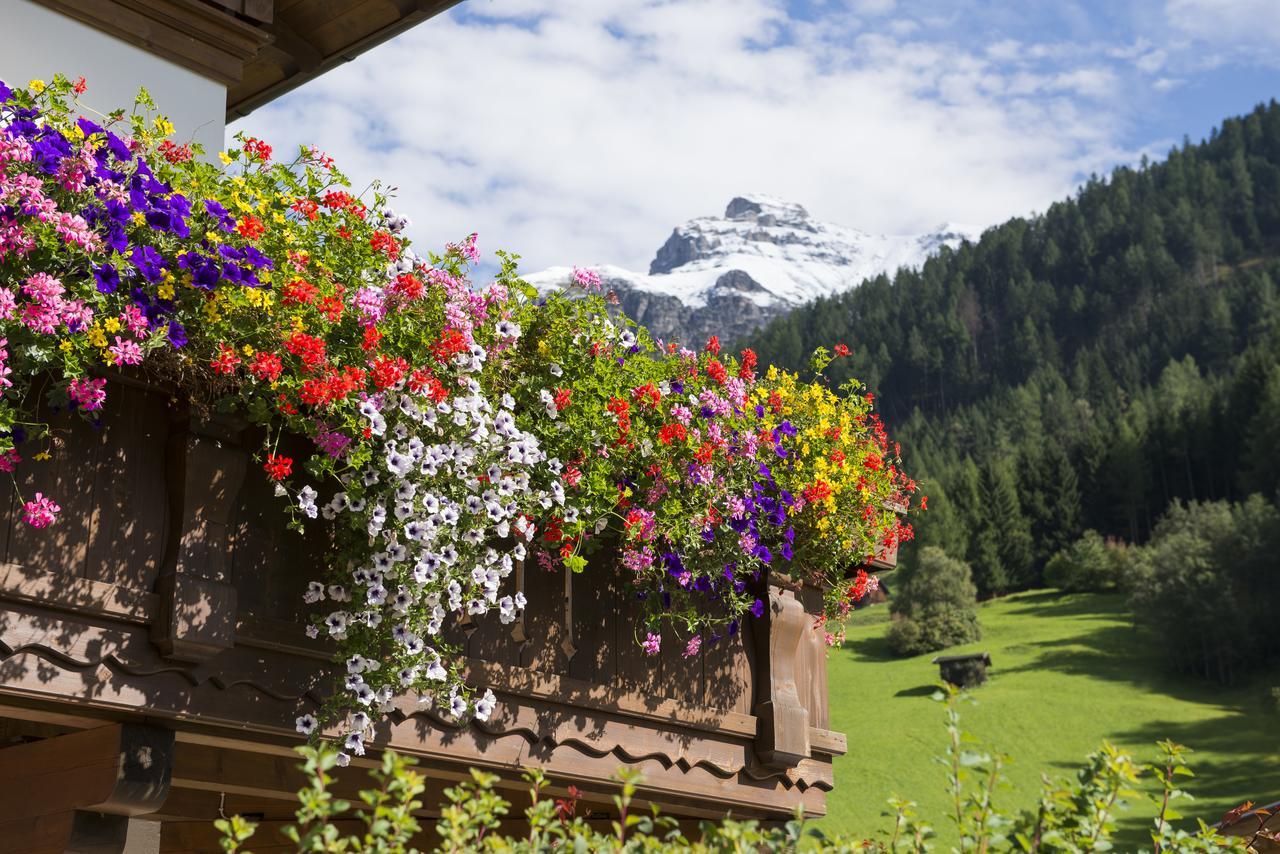 Haus Fernblick Hotel Neustift im Stubaital Exterior photo